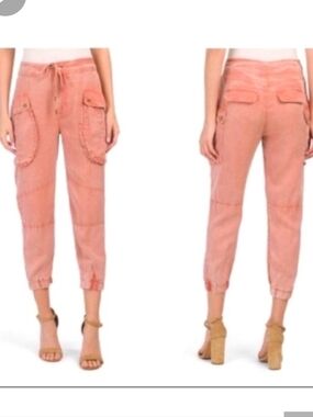 Young Fabolous And Broke Distressed Washed Cargo Jogger Pants -